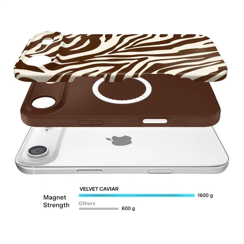Coco Zebra iPhone Case