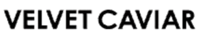 velvetus.it.com
